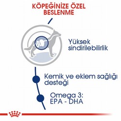 Royal Canin Maxi Adult Büyük Irk Yetişkin Köpek Maması 15 Kg - Thumbnail