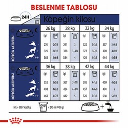 Royal Canin Maxi Adult Büyük Irk Yetişkin Köpek Maması 15 Kg - Thumbnail