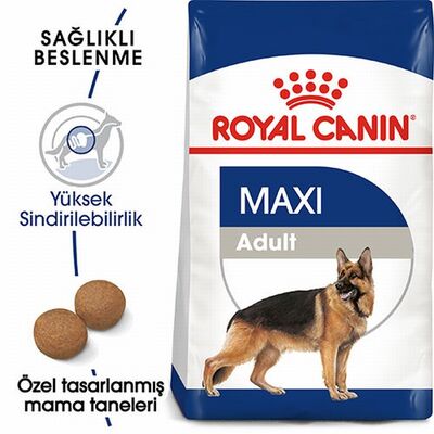 Royal Canin Maxi Adult Büyük Irk Yetişkin Köpek Maması 15 Kg 