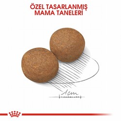 Royal Canin Maxi Adult Büyük Irk Yetişkin Köpek Maması 15 Kg - Thumbnail