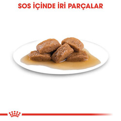 Royal Canin Maxi Adult Gravy Yetişkin Köpek Konservesi 10 Adet 140 Gr - Thumbnail