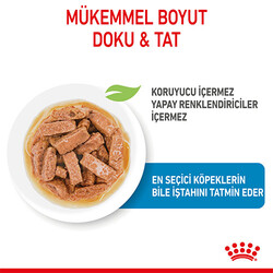 Royal Canin Maxi Puppy Gravy Yavru Köpek Konservesi 10 Adet 140 Gr - Thumbnail