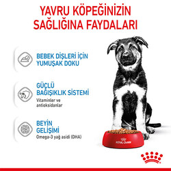 Royal Canin Maxi Puppy Gravy Yavru Köpek Konservesi 10 Adet 140 Gr - Thumbnail