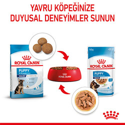 Royal Canin Maxi Puppy Gravy Yavru Köpek Konservesi 10 Adet 140 Gr - Thumbnail