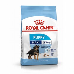 Royal Canin - Royal Canin Maxi Puppy Büyük Irk Yavru Köpek Maması 15 Kg 