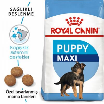 Royal Canin Maxi Puppy Büyük Irk Yavru Köpek Maması 15 Kg 