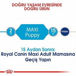 Royal Canin Maxi Puppy Büyük Irk Yavru Köpek Maması 15 Kg - Thumbnail