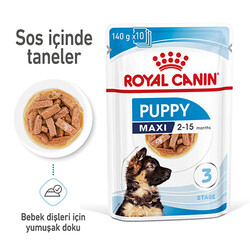 Royal Canin Maxi Puppy Gravy Yavru Köpek Konservesi 140 Gr - Thumbnail