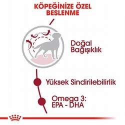 Royal Canin Medium Adult Orta Irk Yetişkin Köpek Maması 15 Kg - Thumbnail