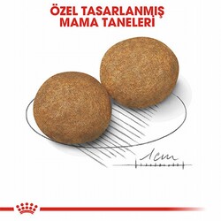 Royal Canin Medium Adult Orta Irk Yetişkin Köpek Maması 15 Kg - Thumbnail