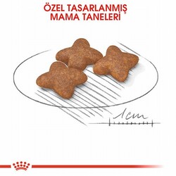 Royal Canin Mini Adult Küçük Irk Yetişkin Köpek Maması 2 Kg - Thumbnail