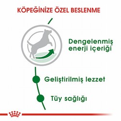 Royal Canin Mini Adult Küçük Irk Yetişkin Köpek Maması 2 Kg - Thumbnail