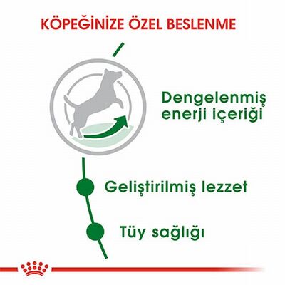 Royal Canin Mini Adult Küçük Irk Yetişkin Köpek Maması 2 Kg 