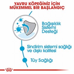 Royal Canin Mini Indoor Puppy Küçük Irk Yavru Köpek Maması 1,5 Kg - Thumbnail