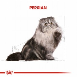 Royal Canin Persian Adult Pouch Yetişkin Kedi Konservesi 85 Gr - Thumbnail