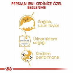 Royal Canin Persian Adult Pouch Yetişkin Kedi Konservesi 85 Gr - Thumbnail