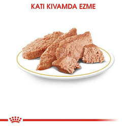 Royal Canin Pomeranian Loaf Gravy Pouch Yetişkin Köpek Konservesi 12 Adet 85 Gr - Thumbnail