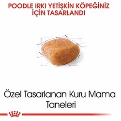 Royal Canin Poodle Adult Yetişkin Köpek Maması 3 Kg - Thumbnail