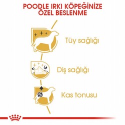 Royal Canin Poodle Adult Yetişkin Köpek Maması 3 Kg - Thumbnail