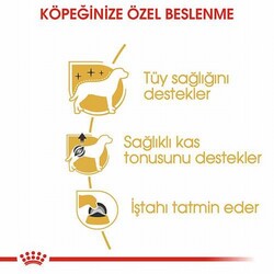 Royal Canin Poodle Pouch Adult Yetişkin Köpek Konservesi 12 Adet 85 Gr - Thumbnail