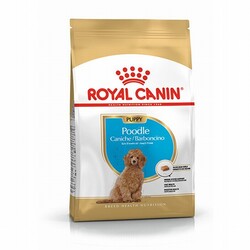 Royal Canin - Royal Canin Poodle Puppy Yavru Köpek Maması 3 Kg 