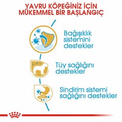 Royal Canin Poodle Puppy Yavru Köpek Maması 3 Kg - Thumbnail