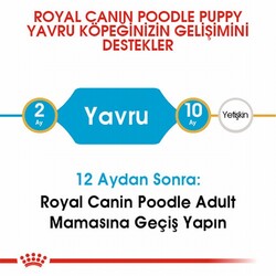 Royal Canin Poodle Puppy Yavru Köpek Maması 3 Kg - Thumbnail