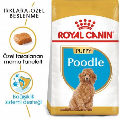 Royal Canin Poodle Puppy Yavru Köpek Maması 3 Kg 