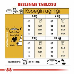 Royal Canin Pug Adult Yetişkin Köpek Maması 1,5 Kg - Thumbnail