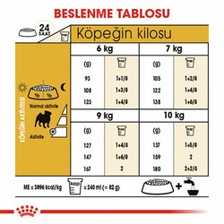 Royal Canin Pug Adult Yetişkin Köpek Maması 1,5 Kg - Thumbnail