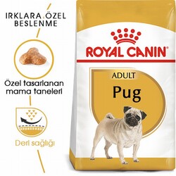 Royal Canin Pug Adult Yetişkin Köpek Maması 1,5 Kg - Thumbnail