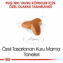 Royal Canin Pug Puppy Yavru Köpek Maması 1,5 Kg - Thumbnail