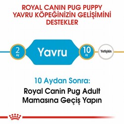 Royal Canin Pug Puppy Yavru Köpek Maması 1,5 Kg - Thumbnail