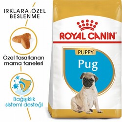 Royal Canin Pug Puppy Yavru Köpek Maması 1,5 Kg - Thumbnail