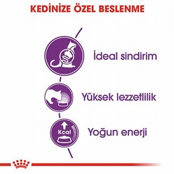 Royal Canin Sensible 33 Hassas Sindirim Sistemi Destekleyici Yetişkin Kedi Maması 2 Kg - Thumbnail