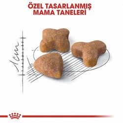 Royal Canin Sensible 33 Hassas Sindirim Sistemi Destekleyici Yetişkin Kedi Maması 400 Gr - Thumbnail