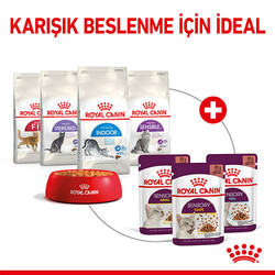 Royal Canin Sensory Feel in Gravy Adult Yetişkin Kedi Konservesi 12 Adet 85 Gr - Thumbnail