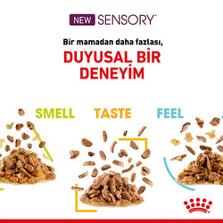 Royal Canin Sensory Feel in Gravy Adult Yetişkin Kedi Konservesi 12 Adet 85 Gr - Thumbnail