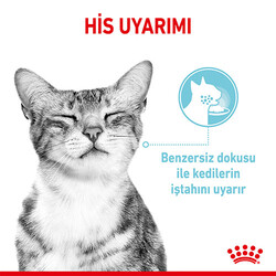 Royal Canin Sensory Feel in Gravy Adult Yetişkin Kedi Konservesi 12 Adet 85 Gr - Thumbnail