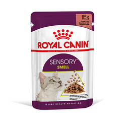 Royal Canin - Royal Canin Sensory Smell Gravy Adult Yetişkin Kedi Konservesi 12 Adet 85 Gr 