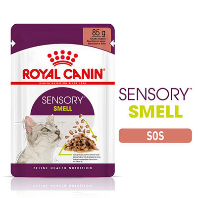 Royal Canin Sensory Smell Gravy Adult Yetişkin Kedi Konservesi 12 Adet 85 Gr 