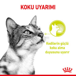 Royal Canin Sensory Smell Gravy Adult Yetişkin Kedi Konservesi 12 Adet 85 Gr - Thumbnail