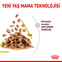 Royal Canin Sensory Smell Gravy Adult Yetişkin Kedi Konservesi 12 Adet 85 Gr - Thumbnail