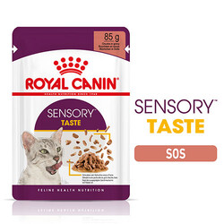 Royal Canin Sensory Taste Gravy Adult Yetişkin Kedi Konservesi 12 Adet 85 Gr - Thumbnail