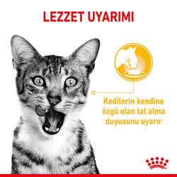 Royal Canin Sensory Taste Gravy Adult Yetişkin Kedi Konservesi 12 Adet 85 Gr - Thumbnail