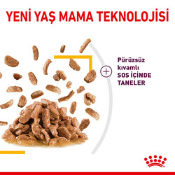 Royal Canin Sensory Taste Gravy Adult Yetişkin Kedi Konservesi 12 Adet 85 Gr - Thumbnail