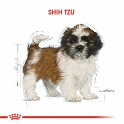 Royal Canin Shih Tzu Puppy Yavru Köpek Maması 1,5 Kg - Thumbnail