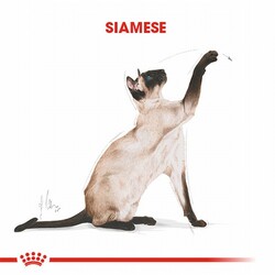 Royal Canin Siamese Adult Siyam Yetişkin Kedi Maması 2 Kg - Thumbnail