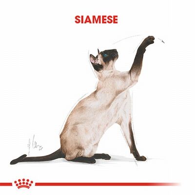 Royal Canin Siamese Adult Siyam Yetişkin Kedi Maması 2 Kg 