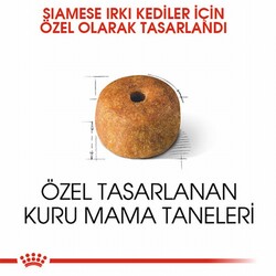 Royal Canin Siamese Adult Siyam Yetişkin Kedi Maması 2 Kg - Thumbnail